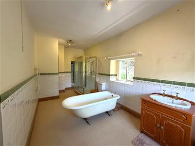 Picture 15